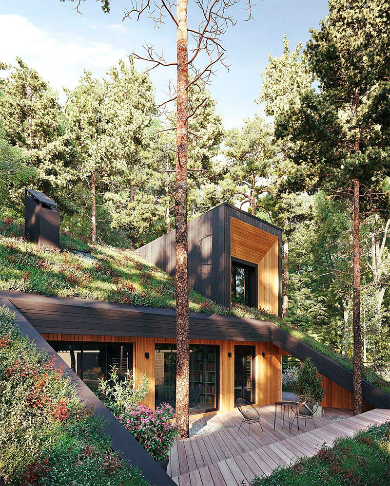 Дом с зеленой крышей: энергоэффективное, экологичное жилище